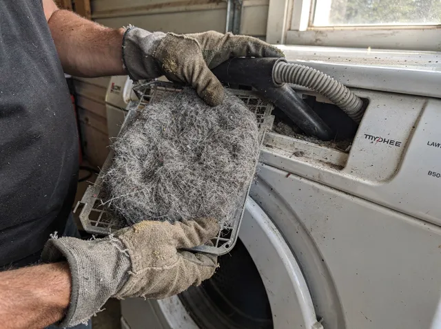 Cleaning Dryer Lint Trap in Belmont